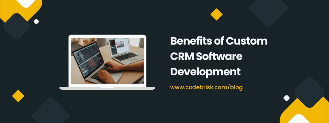 A Look into the Benefits of Custom CRM Software Development cover image